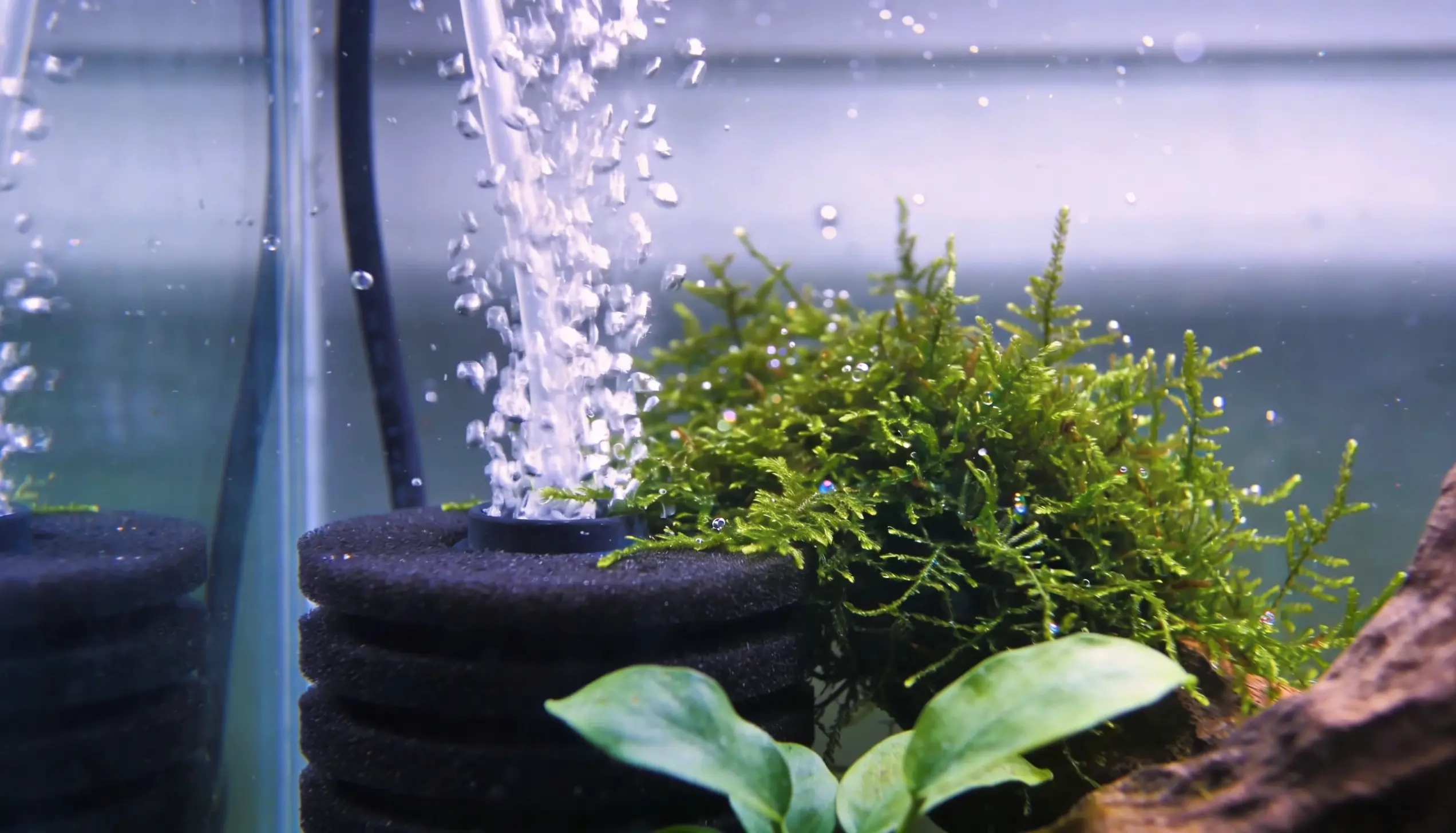 filtro para aquario nano