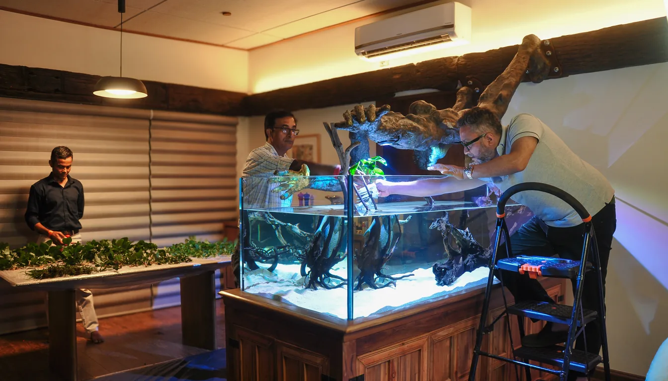 aquaristas fazendo a manutencao de um aquario plantado