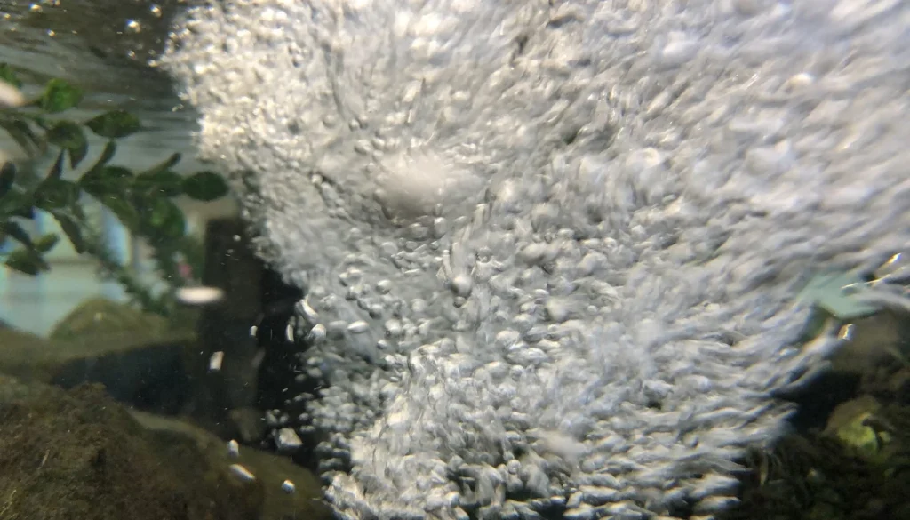 Bolhas de ar subindo em aquario de agua doce ligado a bomba de ar