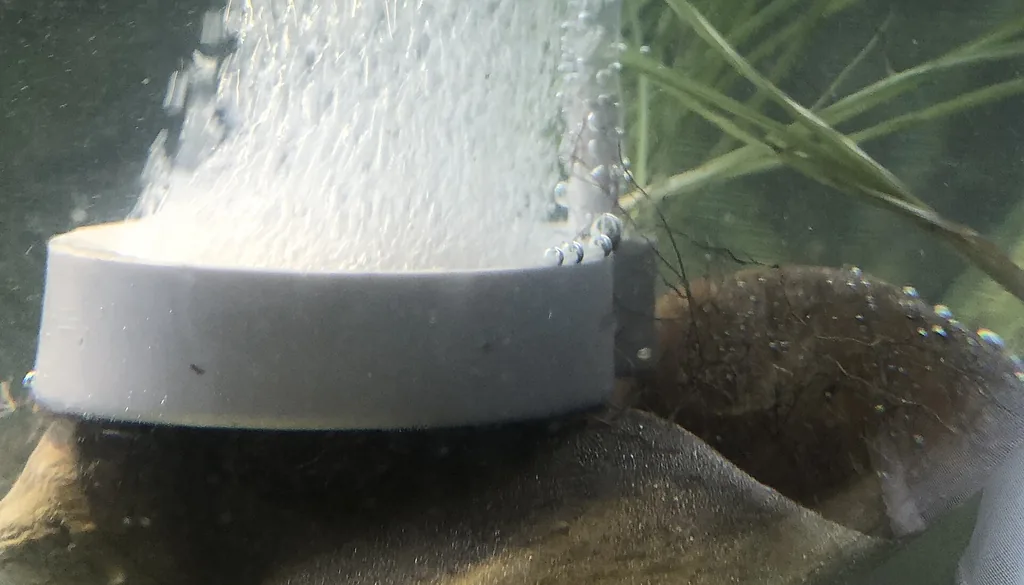 Difusor de ar (air stone) liberando bolhas dentro de um aquário plantado, agitando a água