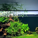 Aquário plantado de água doce sem moldura, com o vidro limpo e a linha da água visível logo abaixo da luminária LED